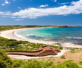 Credit to Philip Island Nature Park