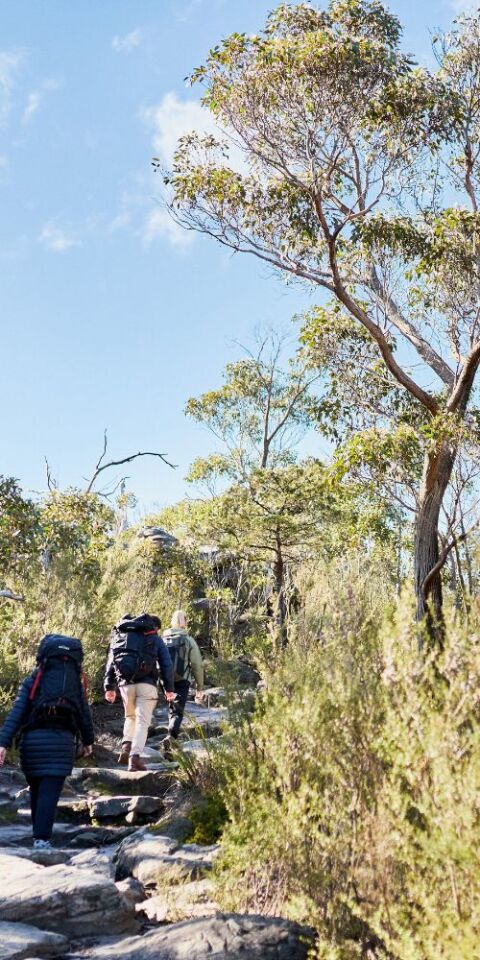 People hiking in the Grampian Mountains - credit to tourism Australia